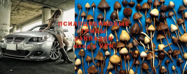 прущие крисы Медногорск