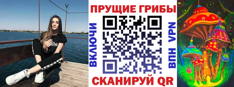 kraken ONION  магазин    Нефтекумск  Галлюциногенные грибы Psilocybe 
