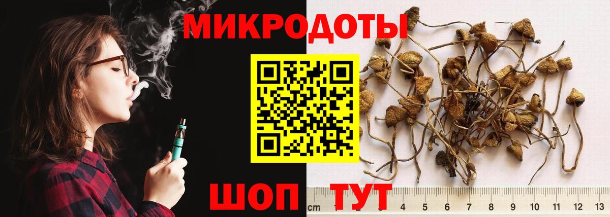 Псилоцибиновые грибы MAGIC MUSHROOMS Нефтекумск