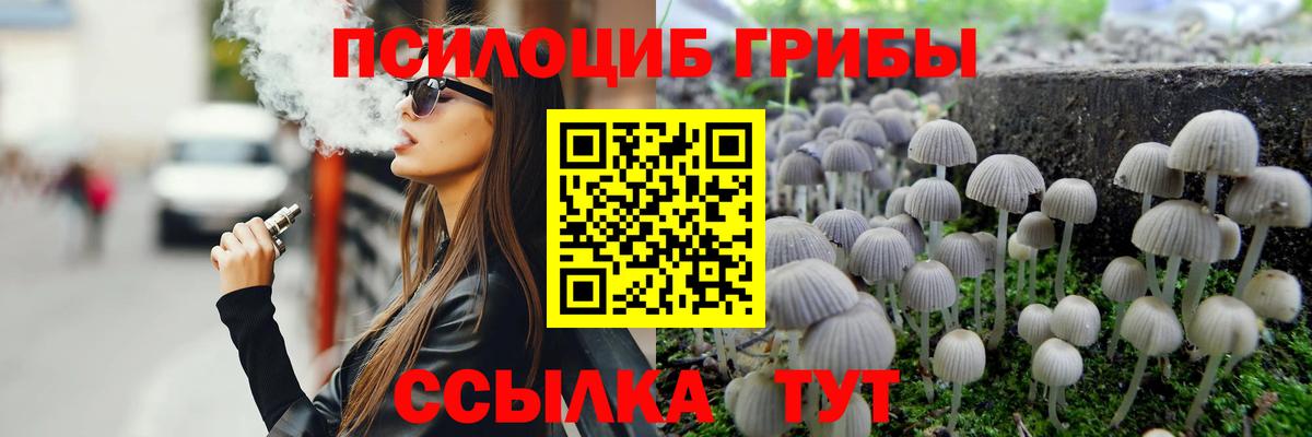 Галлюциногенные грибы Psilocybe  Псилоцибиновые грибы MAGIC MUSHROOMS  Нефтекумск  Вход с VPN 